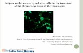 Adipose rabbit mesenchymal stem cells for the treatment of ... · PDF fileΗ μαγεια της φωνης Επιστημη και τεχνη Author: αγγελου βαλερι Created