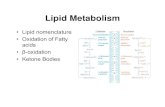 Lipid Metabolism - WOU Homepageguralnl/gural/451Lipid Metabolism.pdf · Lipid Metabolism • Lipid nomenclature • Oxidation of Fatty acids • β-oxidation • Ketone Bodies
