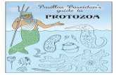 Pusillus Poseidon’s guide to PROTOZOA - · PDF filePusillus Poseidon’s guide to PROTOZOA. GENERAL NOTES ABOUT PROTOZOANS Protozoa are also called protists. ... Has armor plates