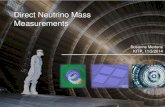 Direct Neutrino Mass  · PDF fileDirect Neutrino Mass Measurements Susanne Mertens ... NIST, JPL . M. Ribeiro Gomes et ... • Start of Neutrino mass measurements 2016
