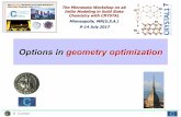 Options in geometry optimization - unito.it · PDF fileOptions in geometry optimization ... RHF/STO-3G Title Dimensionality of the system Crystallographic information ... Fixing a