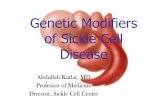 Genetic Modifiers of Sickle Cell Disease - Rio de · PDF fileGenetic Modifiers of Sickle Cell Disease ... variables including Hb F and α-thalasemia. ... Major signal transduction