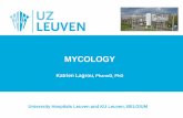 MYCOLOGY - UZ Leuven · PDF fileWhich tests can the lab offer to you for the diagnosis of fungal infection? Antibody detection Panfungal ... Medical Mycology at Abderdeen University