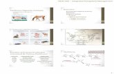 Herbivore Digestive Anatomy - WordPress.com 456 –Integrated Rangeland Management 2 Herbivory Amylopectin α-1,4 linkages and α-Maltose 1,6 linkages α-1,4 linkages α-D-Glucose