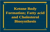 Ketone Body Formation; Fatty acid and Cholesterol  · PDF fileKetone Body Formation; Fatty acid and Cholesterol Biosynthesis Ketone Body Formation; Fatty acid and Cholesterol •