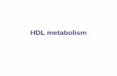 HDL metabolism - SRM · PDF file... especially foam cells, is returned to the liver for degradation ... based on the type of lipoprotein increased ... lesions consist of cholesterol