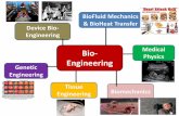 Bio- Physics Engineering . Tissue Engineering . Device Bio-Engineering . Medical Physics . BioFluid Mechanics & BioHeat Transfer . Biomechanics . Genetic Engineering