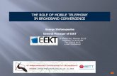 THE ROLE OF MOBILE TELEPHONY IN BROADBAND CONVERGENCE · PDF fileTHE ROLE OF MOBILE TELEPHONY IN BROADBAND CONVERGENCE ... Merrill Lynch (2008) European Wireless Matrix Q3 ... Global