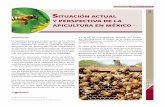 Mercados y comercialización Situación actual y perSpectiva de la apicultura en ...infoaserca.gob.mx/claridades/revistas/199/ca199-3.pdf ·  · 2010-03-02ituación actual y perSpectiva
