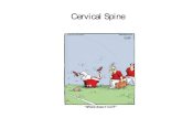 Cervical Spine - OrthoSurgery | Δρ. Χρήστος Κ ... · PDF fileCervical Spine •C1 ... C1 – top of head C2 – Temporal C3 ... –Can only palpate C1 transverse processes