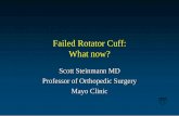 Failed Rotator Cuff: What now? - New England Baptist … Rotator Cuff: What now? Scott Steinmann MD Professor of Orthopedic Surgery ... Dog 152, area adjacent to GJ, OM 200x Adams