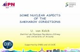 SOME NUCLEAR ASPECTS OF THE SAKHAROV CONDITIONS · PDF fileSOME NUCLEAR ASPECTS OF THE SAKHAROV CONDITIONS ... Matter vs Antimatter EFT and the Role of Nuclear Physics ... Ng + Tulin