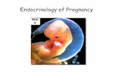 Endocrinology of Pregnancy - The Medical University … of...• observed in many species • can be induced by PGF 2α – fish spawning behavior – lizard oviposition behavior –