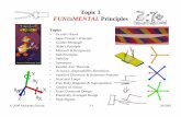 Topic 3 Fundamental Principles - Massachusetts …pergatory.mit.edu/.../Topic_3_Fundamental_Principles.pdfNumber of support axles, N 2 2 Bearing length, Lb (m) 0.01 0.01 Bottom beam