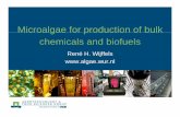 Microalgae for production of bulk chemicals and · PDF fileMicroalgae sold in niche markets Natural β-carotene Astaxanthine Health shops Ingredient in feed Feed fish juveniles 1 billion