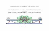 THE FUTURE OF GAMMA-RAY SPECTROSCOPY: · PDF filedetector module with 4 highly segmented irregularly shaped crystals closely packed in ... linear polarization γ-ray ... versatile