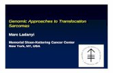 Genomic Approaches to Translocation Sarcomas - · PDF fileGenomic Approaches to Translocation ... Myxoid liposarcoma t(12;16) FUS-CHOP ... • TFAP2-βin ARMS vs ERMS OLIG2 KCNN3 CNR1