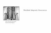 Nuclear Magnetic Resonance - Yale Chemistryursula.chem.yale.edu/~chem220/chem220js/STUDYAIDS/NMR.pdf · Atomic nuclei in The absence of a magnetic field Bo Atomic nuclei in the presence