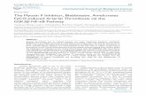 Research Paper The Myosin II Inhibitor, Blebbistatin ... · PDF filephospho-GSK3β a 4t °C ovenrgi Ah.texla Fulor® 488-conjugated Donkey Anti-Goat IgG (H+L) (1:600) and Alexa Fluor®