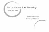 bb cross section: blessing - hep.wisc.eduyli/Web_Folder/Presentation/.../bbbarjetWebtalk.pdf · « simple tag » SVT tag simple tag ...