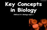 Key Concepts in Biology - Southchurch High School · Key Concepts in Biology ... Standard Form and prefixes27/09/2017 ... What approximate pH range would you want an enzyme in your