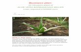 Business plan - vresto.eu: Αναστασιάδης Π. …anastasiadis-konstantinos.appspot.com/pdf/aloeVera_bp.pdfBusiness plan: 10 Hectares plant of ALOE VERA BARBADENSIS MILLER