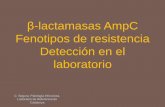 β-lactamasas AmpC Fenotipos de resistencia Detección en … · CTX AMC FEP ATM IPM C. Segura. Patologia Infecciosa. Laboratori de ... Omp C-) C. Segura. Patologia Infecciosa. Laboratori