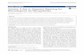 Solvent: A Key in Digestive Ripening for Monodisperse Au Nanoparticles · Solvent: A Key in Digestive Ripening for Monodisperse Au Nanoparticles ... (n-hexane, toluene, m-xylene,
