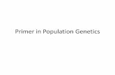 Primer in Population Genetics - Faculty and Lab …labs.russell.wisc.edu/peery/.../12/Primer-in-Population-Genetics.pdfPrimer in Population Genetics ... Only source of new genetic