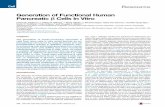 Generation of Functional Human Pancreatic β Cells …hsci.harvard.edu/files/hsci/files/pagliuca_et_al_cell_2014.pdfGeneration of Functional Human Pancreatic β Cells In Vitro ...