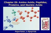 Chapter 26: Amino Acids, Peptides, Proteins, and Nucleic Acids · Chapter 26: Amino Acids, Peptides, Proteins, and Nucleic Acids Aspartame, a dipeptide Peptide linkage: An amide