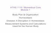 HTHS 1110 / Biomedical Core Module 1 Body Plan ...blog.wsd.net/.../08/Module-1e2-Body...Homeostasis.pdf · HTHS 1110 / Biomedical Core Module 1 ... Used for the Human Body Body Plan