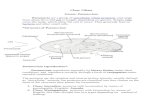 Paramecium - University of Babylon€¦  · Web view*Structure of Paramecium *Paramecium reproduction. ... is Greek word meaning (change) ... Toxoplasmosis. is a . parasitic disease.