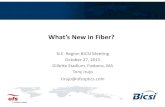 What’s New in Fiber? - BICSI - advancing the information ... · 62.5 micron 50 micron ~8 micron 125 micron ... Mux λ λ λ Demux λ 18. Why ... 2  3 https: ...