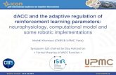 dACC and the adaptive regulation of reinforcement … and the adaptive regulation of reinforcement learning parameters: ... • dACC is in an appropriate position to ... Global decrease