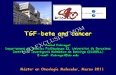TGF-beta and cancer 3/a...Cells that survive to TGF-beta respond to this cytokine inducing EMT processes, ... Up-regulation of Snail not only mediates EMT, ... Sin título de diapositiva