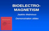 BIOELECTRO- MAGNETISM - Bioelectromagnetism · Generation of bioelectric signal V. m [mV] 200. 400. 800. 1000-100-50. 0. 50. Time [ms] K + Na + K + K + K + K + K + K + K + K + K +