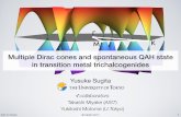 Multiple Dirac cones and spontaneous QAH state in ... nqs2017.ws/Slides/1st/Sugita.pdfMultiple Dirac cones and spontaneous QAH state in transition metal trichalcogenides 2017/10/24