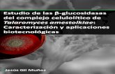 Estudio de las - digital.csic.esdigital.csic.es/bitstream/10261/123478/1/Tesis_Gil_Muñoz_2015.pdf · Estudio de las β-glucosidasas del complejo celulolítico de Talaromyces amestolkiae:
