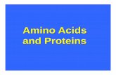 Amino Acids and Proteins -  · PDF fileAmino acids at neutral pH are dipolar ions (zwitterions) because their α-carboxyl and α-amino groups are ionized. NH3 C COO H R +