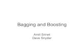 Bagging and Boosting - Computer Sciencerlaz/prec20092/slides/Bagging_and_B… ·  · 2010-02-11Bagging and Boosting Amit Srinet Dave Snyder. Outline Bagging Definition Variants Examples