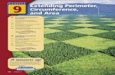 Extending Perimeter, Circumference, and Area · PDF fileExtending Perimeter, Circumference, and Area 585 Vocabulary Match each term on the left with a definition on the right. 1. area
