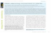 RNA silencing movement in plants’ΙΟΛ-460/sil... · RNA silencing movement in plants Review (Voinnetetal.,1998).Graftingexperimentshavealso demonstrated silencing spread in tomato