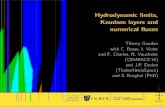 Hydrodynamic limits, Knudsen layers and numerical … · Hydrodynamic limits, Knudsen layers and numerical ﬂuxes Thierry Goudon ... Kinetic vs. hydro. BC ... Ue (t,x) = (ρ,e eu,θe