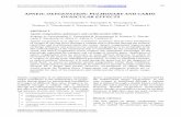 APNEIC OXYGENATION; PULMONARY AND CARDI- …oaji.net/articles/2015/1592-1421516184.pdf · APNEIC OXYGENATION; PULMONARY AND CARDI-OVASCULAR EFFECTS 1Kolettas A, 2Grosomanidis V, 2Fyntanidou