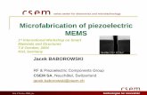 MICROFABRICATION OF PIEZOELECTRIC MEMS€¦ · Microfabrication of piezoelectric MEMS 1st International Workshop on Smart Materials and Structures 7-8 October, 2004 ... strain ε