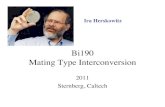 Bi190 Mating Type Interconversion - its.caltech.edubi190/bi190-2011-13.pdf~600 bp Y α ~750 bp Z L ~300 bp Z R ... Shmoo (G1 arrest at START) a a