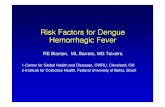 Risk Factors for Dengue Hemorrhagic Fever - EPI · PDF fileRisk Factors for Dengue Hemorrhagic Fever RE Blanton, ... hemorrhagic manifestations of DHF and DSS ... – The IFN αresponse