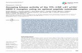 Research Article Assaying kinase activity of the TPL … · Research Article Assaying kinase activity of the TPL-2/NF-κB1 p105/ ABIN-2 complex using an optimal peptide substrate