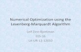 Numerical Optimization using the Levenberg …mads.lanl.gov/presentations/Leif_LM_presentation_m.pdfGeodesic Acceleration •Suggested by Transtrum, Machta, Sethna (2011) as a further